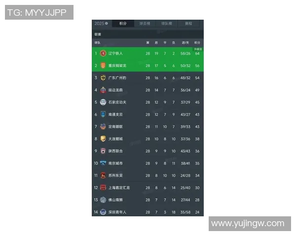 辽宁足球队员最新名单及其在赛季中的表现分析与展望